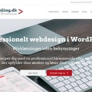 Webdesigner - Professionelle hjemmesider og webshops - WPIndex.dk
